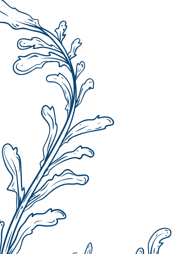 May Kura Monthly Discoveries