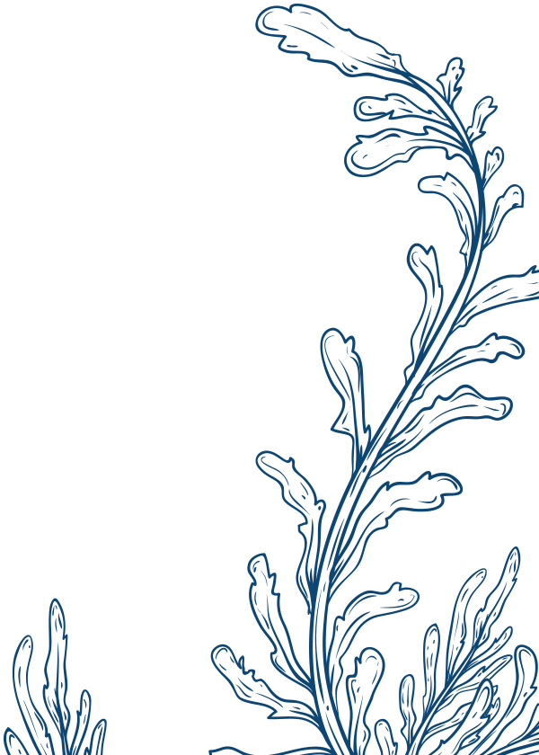 May Kura Monthly Discoveries